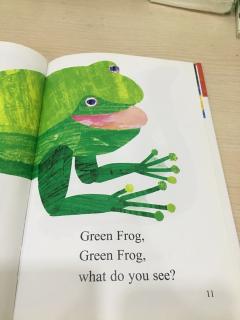 Jackie green frog 安妮花阅读馆