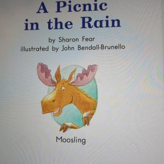 A picnic in the rain（来自FM130174502)