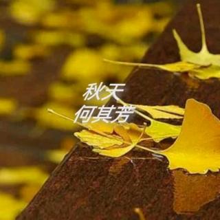 秋天     何其芳🍂