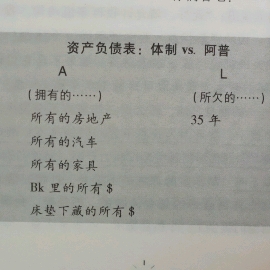 10政府的A与L