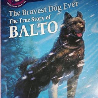 《BALTO》