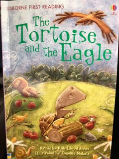 The Tortoise and the Eagle