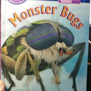 Monster Bugs  猛虫出没