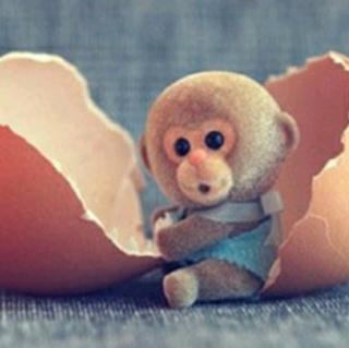 《猴子偷鸡蛋》