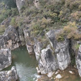 秦岭，石泉寻找桂花树所见/千里马