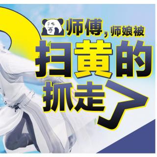 剑网三：师傅！师娘被扫黄的抓走了（八）