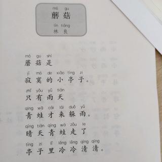 《蘑菇》