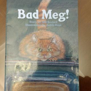 Bad Meg