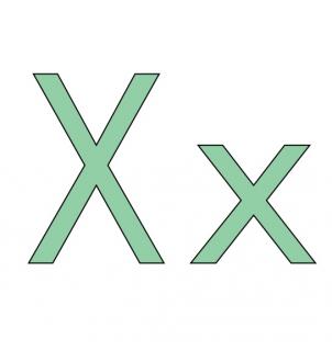 Xx-Words begin with letter X