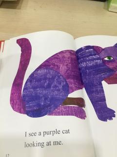 jackie purple cat 安妮花阅读馆