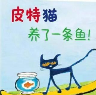 皮特猫养了一条鱼！