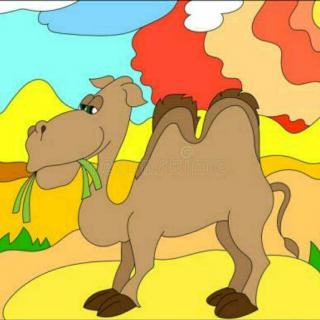 贝蕾幼儿园晚安故事《爱美的小骆驼》