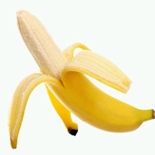 为什么香蕉里没有种子——十万个为什么（000156）