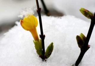 好文分享：冬天总会过去，春天迟早会来