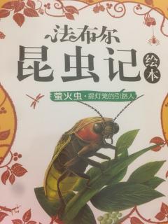 法布尔昆虫记之萤火虫