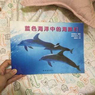 蓝色海洋中的海豚们（粤语）