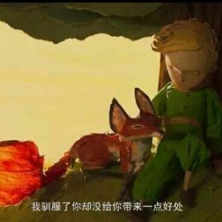 我是那只等爱的狐狸