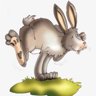 913期绘本--野蛮的兔子
