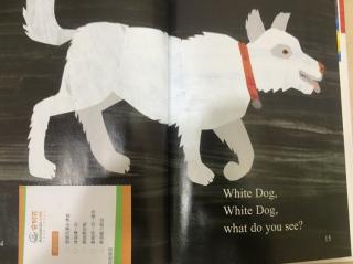 jackie white dog安妮花阅读馆