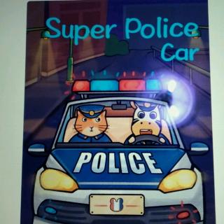 147.super police car