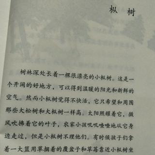 《枞树》张梓淇阅读打卡第28天