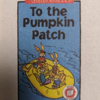 To the pumpkin Patch