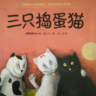 《三只捣蛋猫》