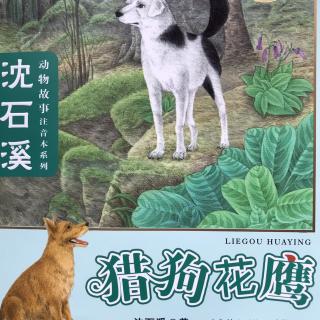 《猎狗花鹰》