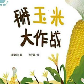 绘本故事——掰玉米大作战