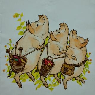 【275】Windy讲故事-《三只小猪》