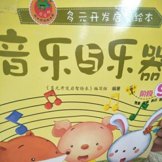 音乐与乐曲