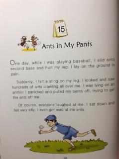 9-15 🐜Ants in my pants