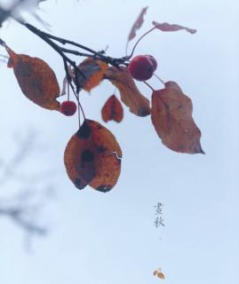 《胡同文化》10-19段背诵（王芷烨）