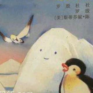 小企鹅和小冰山