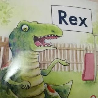 008 Rex