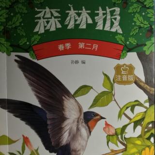 森林报春季第二月-林中故事-昆虫的节日