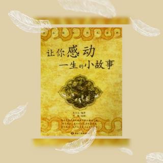 中年以前不要怕，中年以后不要悔