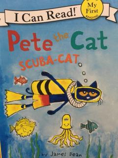 Pete喵系列故事 Scuba-cat