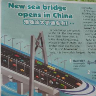 New sea bridge opens in China