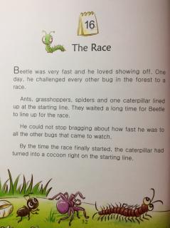 9-16 🐛The Race