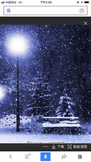 《冬》作者：雨落相思  诵读：傲雪绽放