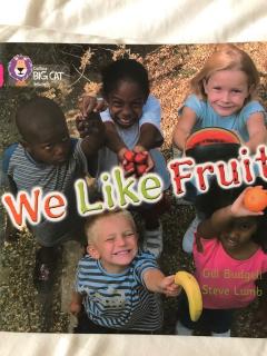 教学音频～We Like Fruit
