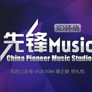 浪哥 - 世界第一等 3D环绕(先锋Music)