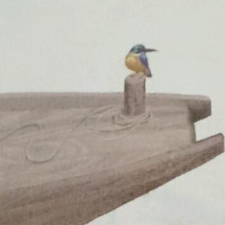 课文15 搭船的鸟