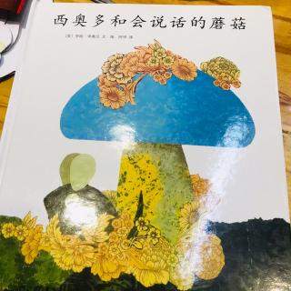 阳光雨露睡前故事《西奥多和会说话的蘑菇》