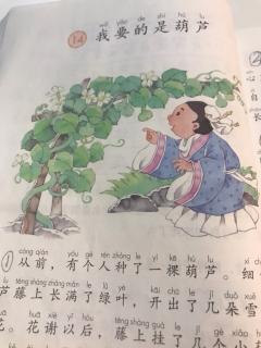 我要的是葫芦