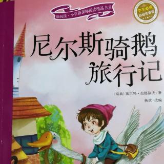 《尼尔斯骑鹅旅行记之命运的开始》