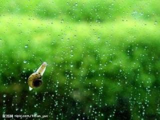 写景之《四季的雨》