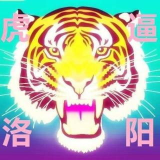 虎逼洛阳第十期-斑马森林乐队
