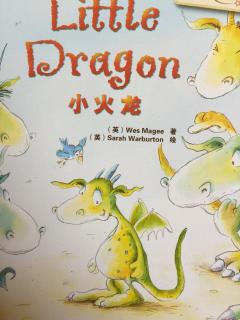 Little Dragon小火龙